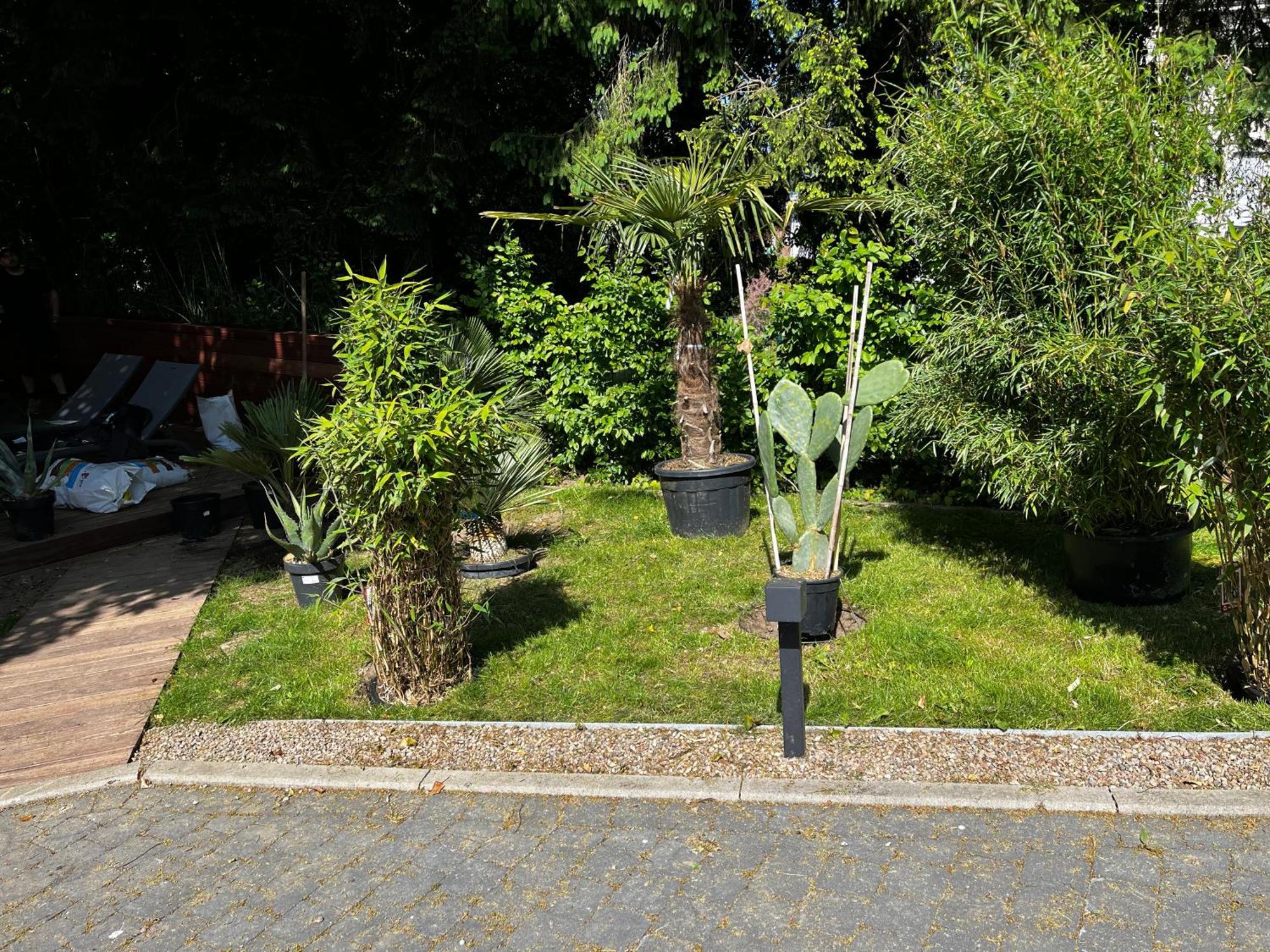 Villa Les Erables Restaurant Linea Spa Exterior photo